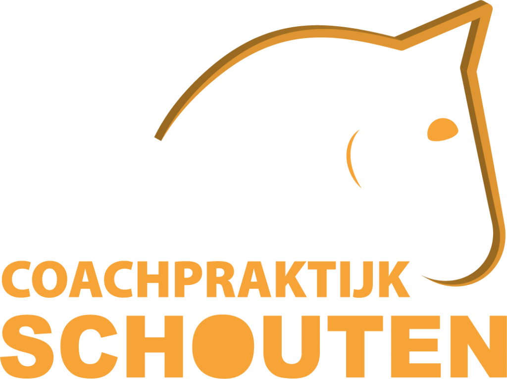 Logo-Coachpraktijk-Schouten-Coaching-Paarden-Wemeldinge-Zeeland