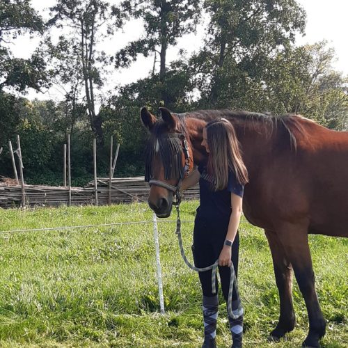 Coachpraktij-Schouten-Zeeland-voor-tieners-coaching-met-paarden-vastlopen-in-het-leven