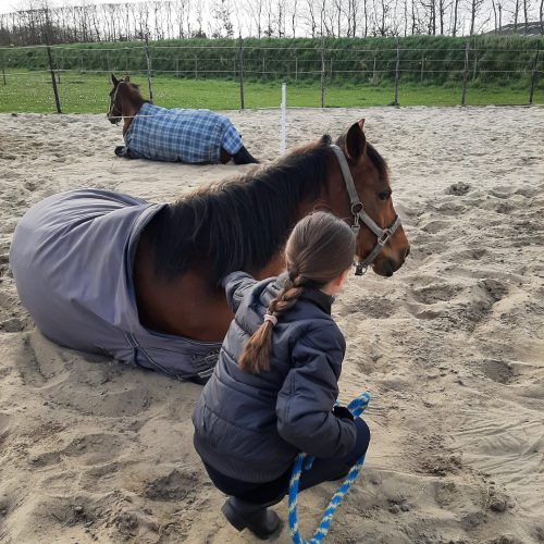 paarden-coaching-kinderen-wemeldinge-Schouten-coachpraktijk
